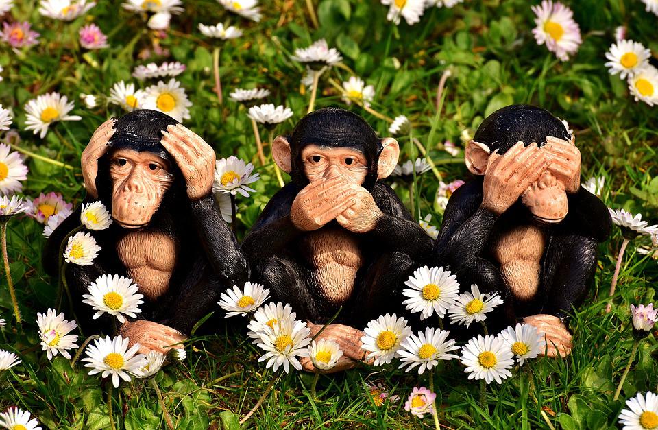 drei Affen: Nichts hören, nichts sehen, nichts reden